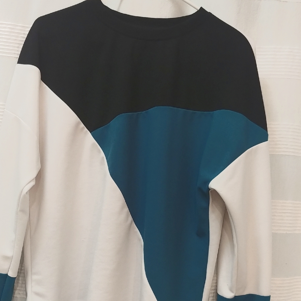 Shein Colorblock Sweatshirt
